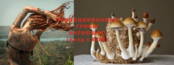 ALPHA PVP Михайловка