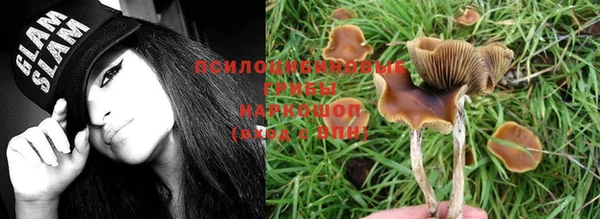 мяу мяу мука Медвежьегорск