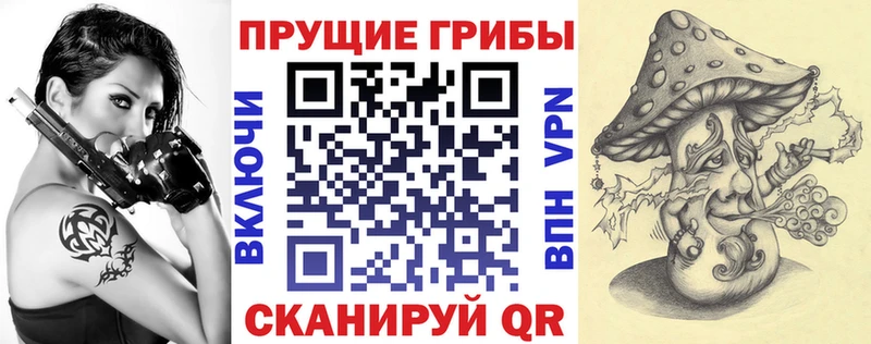 Галлюциногенные грибы прущие грибы  Каневская 